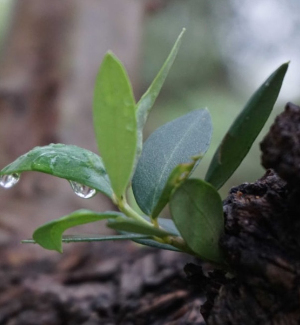 V neustále sa meniacom svete je zmena klímy najväčšou výzvou našej doby a súvisí s nami všetkými.