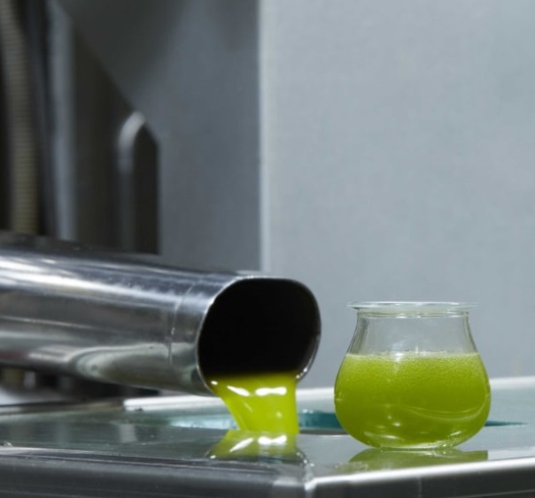 Terra Creta olivový mlyn a vysledný produkt , ktorý putuje priamo na váš stol ako zelené zlato kréty