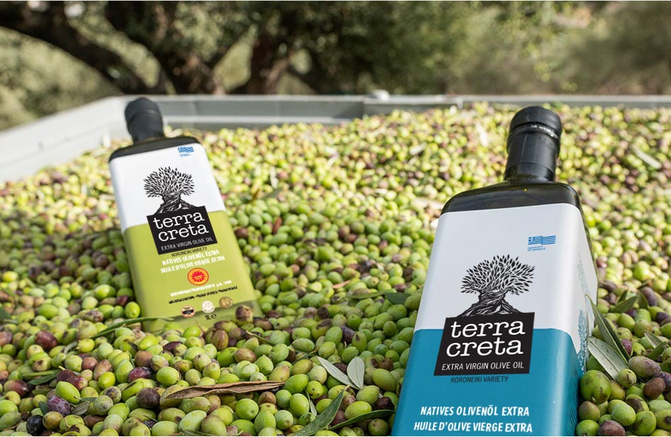 Olivy sa zbierajú v správnom čase a dodávajú sa v lise na olivový olej za podmienok prísnej transparentnosti a hygieny. Prechádzajú lisovaním za studena v priebehu niekoľkých hodín po zbere, aby nám ponúkli najlepší možný extra panenský olivový olej.