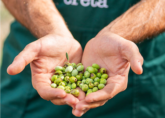 Naším poslaním je ponúkať kvalitný, extra panenský olivový olej a iné prírodné potraviny s vysokou nutričnou hodnotou, ktoré sa vyrábajú pomocou udržateľných postupov, od poľa až po regál.